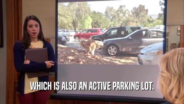 WHICH IS ALSO AN ACTIVE PARKING LOT.  