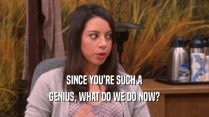 SINCE YOU'RE SUCH A GENIUS, WHAT DO WE DO NOW? 