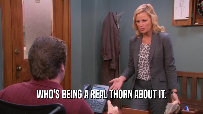 WHO'S BEING A REAL THORN ABOUT IT.  