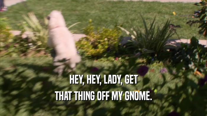 HEY, HEY, LADY, GET THAT THING OFF MY GNOME. 