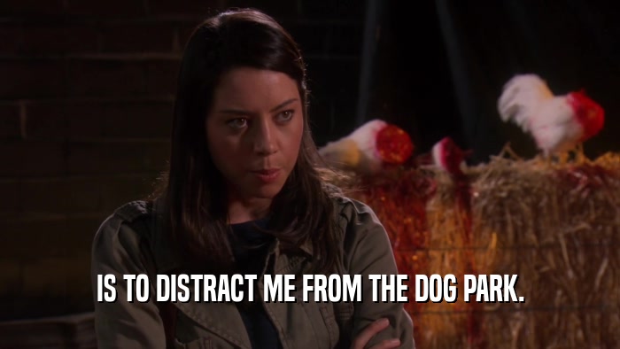 IS TO DISTRACT ME FROM THE DOG PARK.  