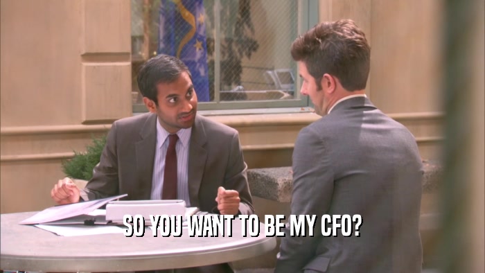 SO YOU WANT TO BE MY CFO?  