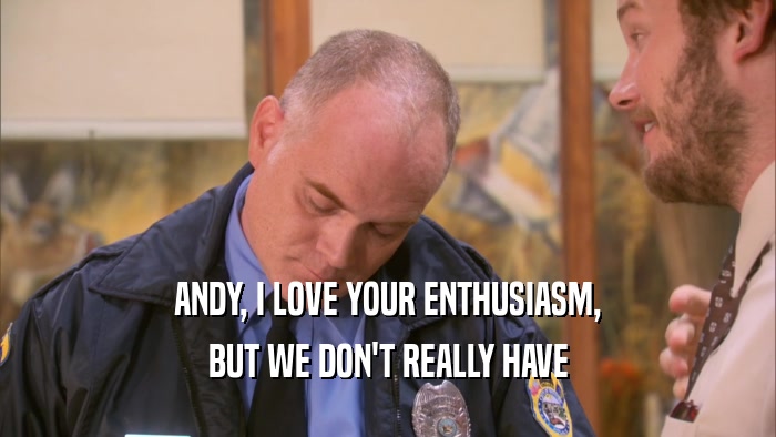 ANDY, I LOVE YOUR ENTHUSIASM, BUT WE DON'T REALLY HAVE 