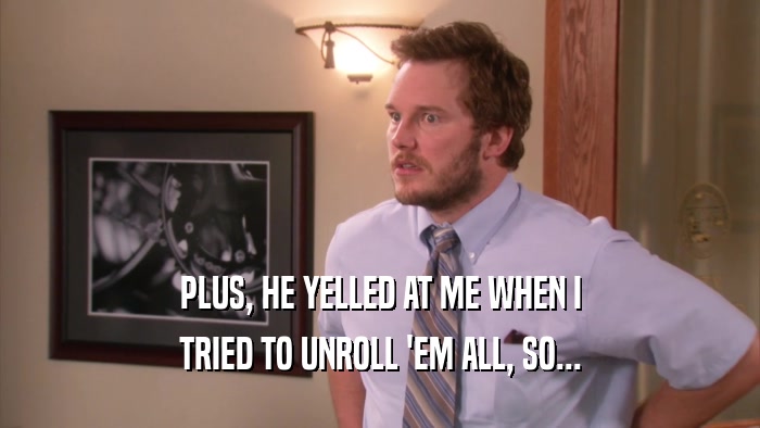 PLUS, HE YELLED AT ME WHEN I TRIED TO UNROLL 'EM ALL, SO... 