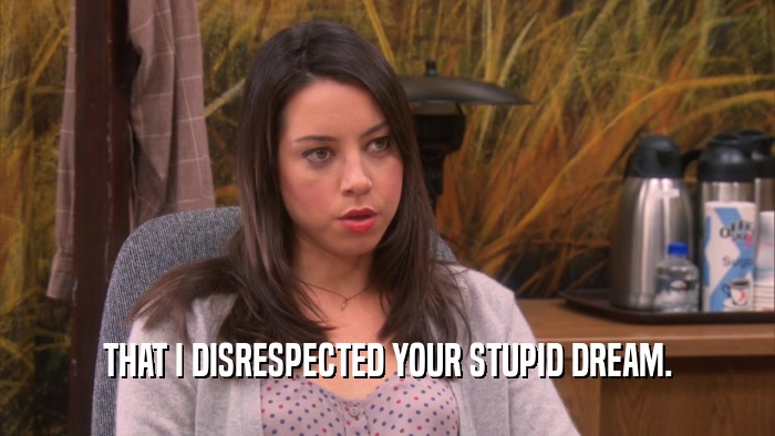 THAT I DISRESPECTED YOUR STUPID DREAM.  