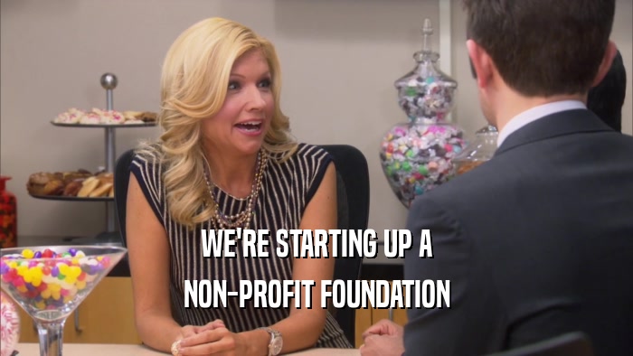 WE'RE STARTING UP A NON-PROFIT FOUNDATION 
