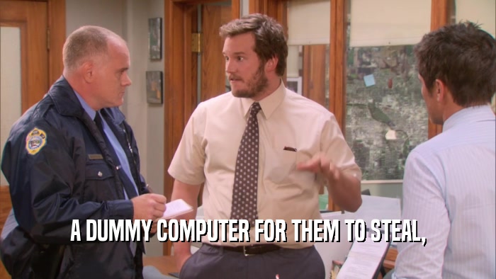 A DUMMY COMPUTER FOR THEM TO STEAL,  