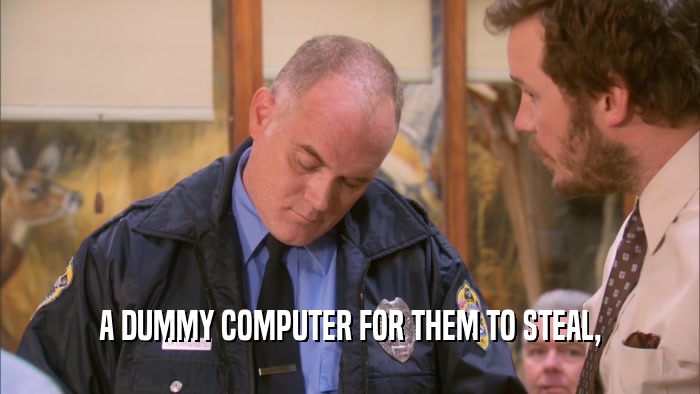 A DUMMY COMPUTER FOR THEM TO STEAL,  