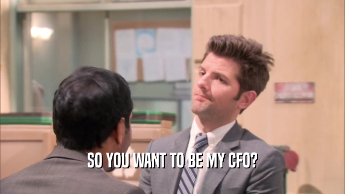 SO YOU WANT TO BE MY CFO?  