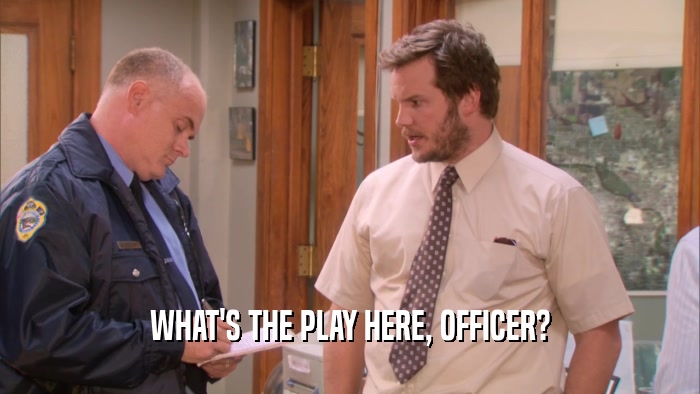 WHAT'S THE PLAY HERE, OFFICER?  
