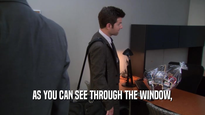 AS YOU CAN SEE THROUGH THE WINDOW,  