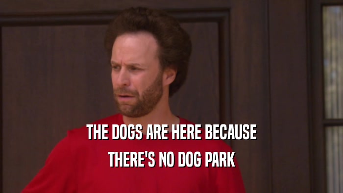 THE DOGS ARE HERE BECAUSE THERE'S NO DOG PARK 