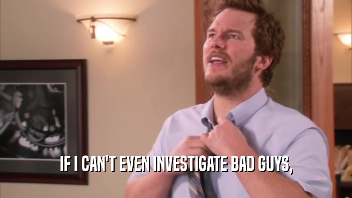 IF I CAN'T EVEN INVESTIGATE BAD GUYS,  
