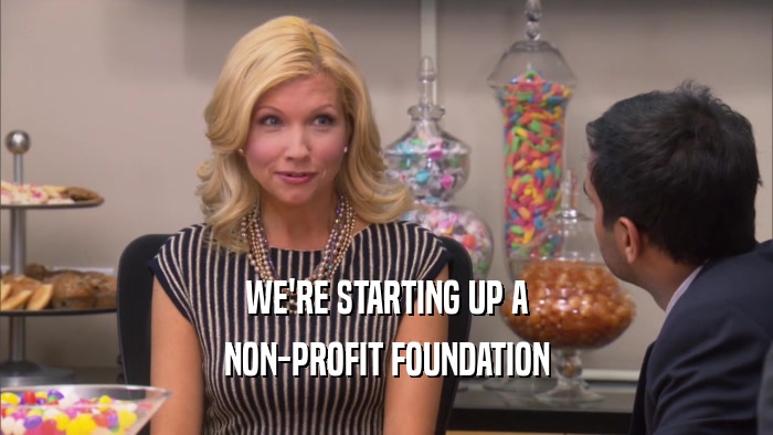 WE'RE STARTING UP A NON-PROFIT FOUNDATION 
