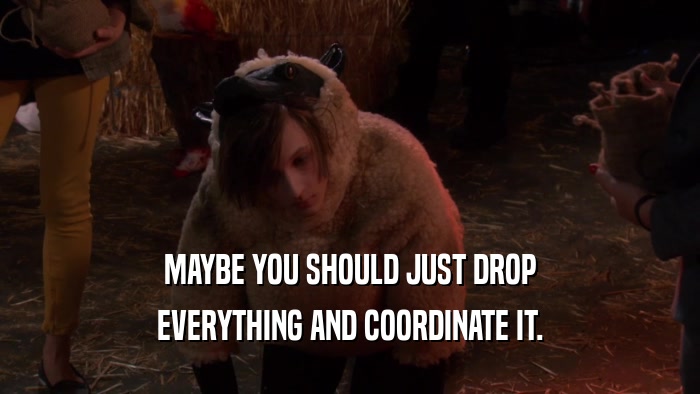 MAYBE YOU SHOULD JUST DROP EVERYTHING AND COORDINATE IT. 