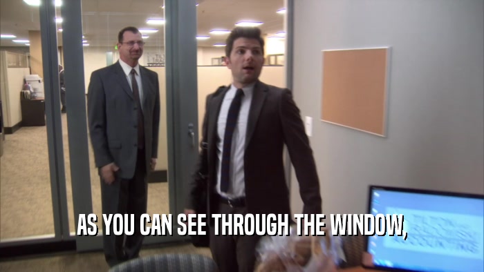 AS YOU CAN SEE THROUGH THE WINDOW,  