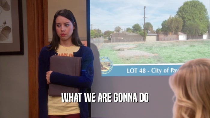 WHAT WE ARE GONNA DO  