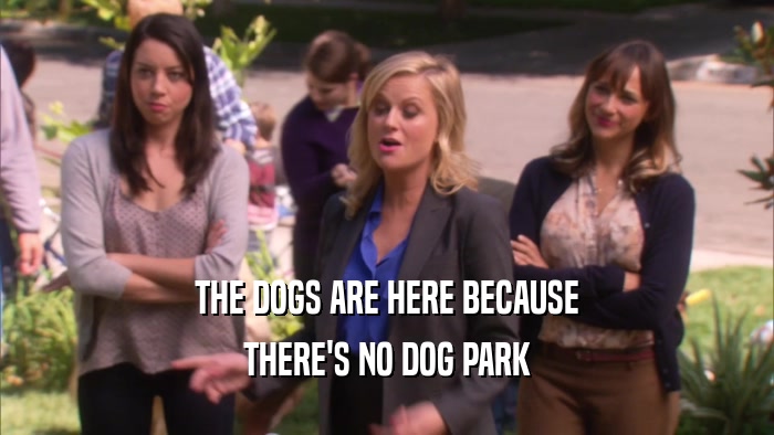 THE DOGS ARE HERE BECAUSE THERE'S NO DOG PARK 