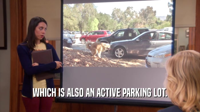 WHICH IS ALSO AN ACTIVE PARKING LOT.  
