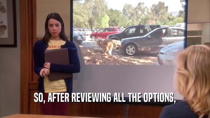SO, AFTER REVIEWING ALL THE OPTIONS,  