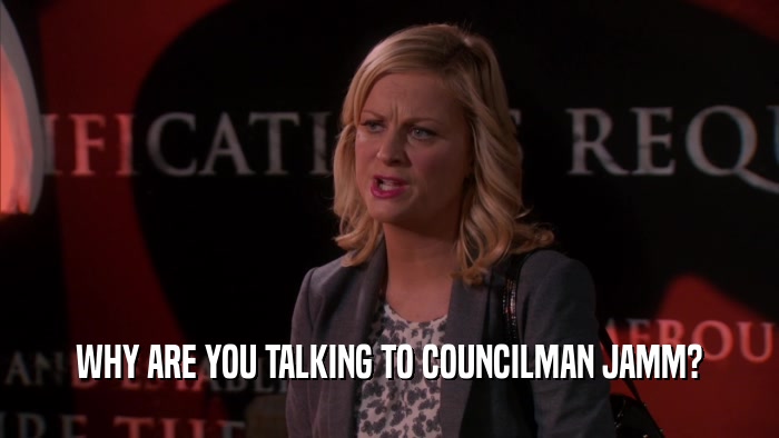 WHY ARE YOU TALKING TO COUNCILMAN JAMM?  