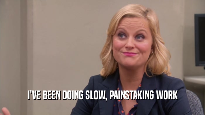 I'VE BEEN DOING SLOW, PAINSTAKING WORK  