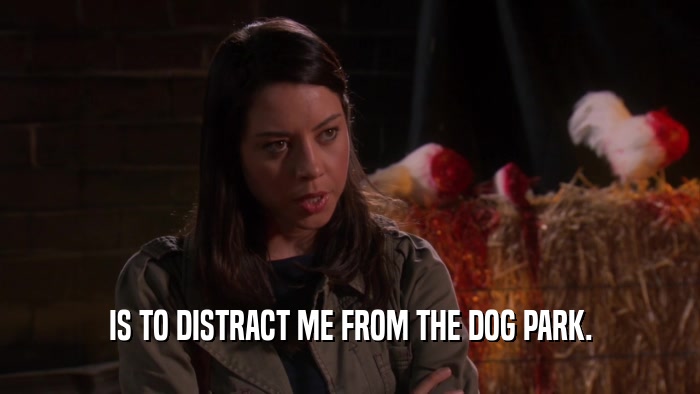 IS TO DISTRACT ME FROM THE DOG PARK.  