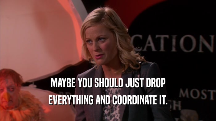 MAYBE YOU SHOULD JUST DROP EVERYTHING AND COORDINATE IT. 