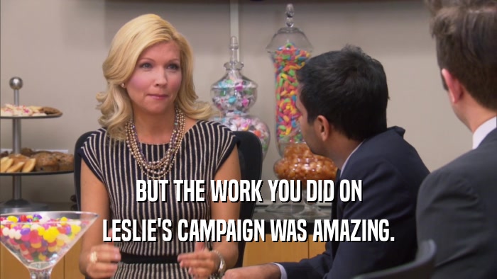 BUT THE WORK YOU DID ON LESLIE'S CAMPAIGN WAS AMAZING. 