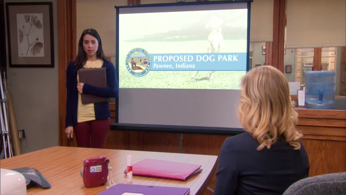 MORE DOG PARKS PER CAPITA THAN MOST CITIES. 