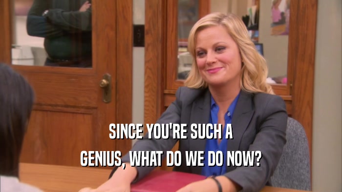 SINCE YOU'RE SUCH A GENIUS, WHAT DO WE DO NOW? 