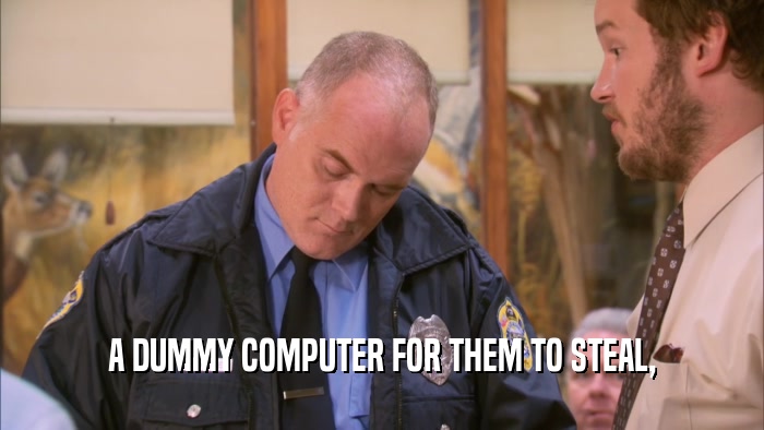 A DUMMY COMPUTER FOR THEM TO STEAL,  