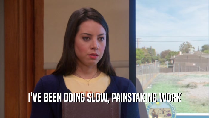 I'VE BEEN DOING SLOW, PAINSTAKING WORK  
