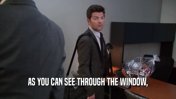 AS YOU CAN SEE THROUGH THE WINDOW,  