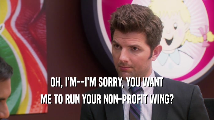 OH, I'M--I'M SORRY, YOU WANT ME TO RUN YOUR NON-PROFIT WING? 