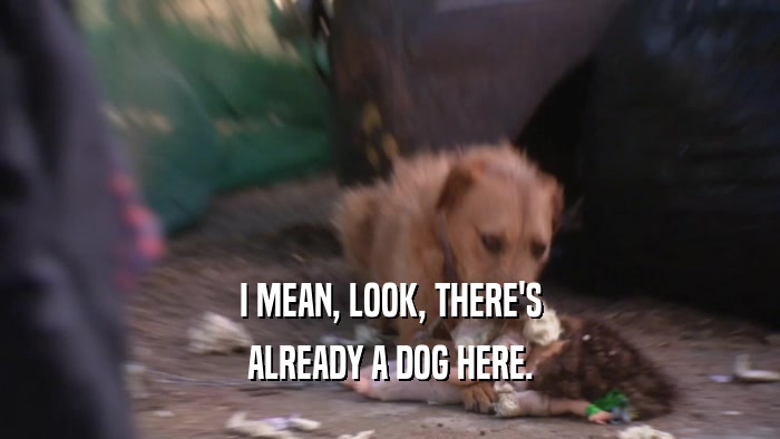 I MEAN, LOOK, THERE'S ALREADY A DOG HERE. 
