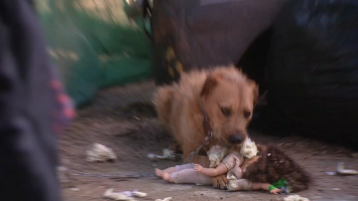 I MEAN, LOOK, THERE'S ALREADY A DOG HERE. 