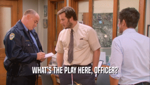 WHAT'S THE PLAY HERE, OFFICER?  