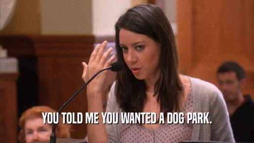 YOU TOLD ME YOU WANTED A DOG PARK.  