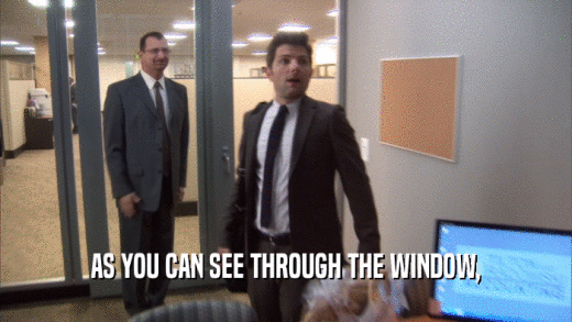 AS YOU CAN SEE THROUGH THE WINDOW,  