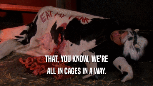 THAT, YOU KNOW, WE'RE ALL IN CAGES IN A WAY. 