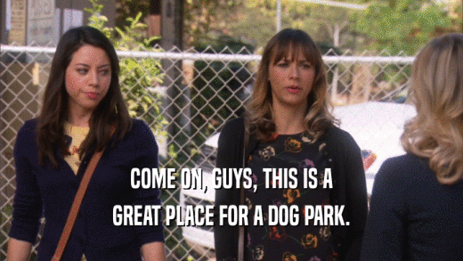 COME ON, GUYS, THIS IS A GREAT PLACE FOR A DOG PARK. 