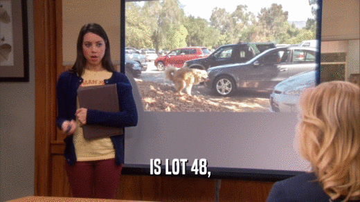 IS LOT 48,  