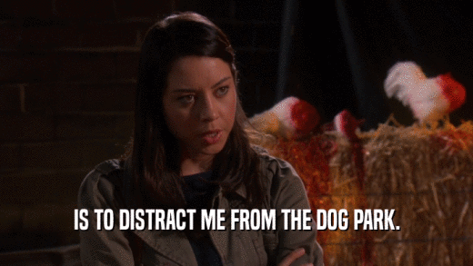 IS TO DISTRACT ME FROM THE DOG PARK.  