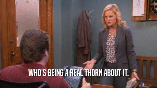 WHO'S BEING A REAL THORN ABOUT IT.  