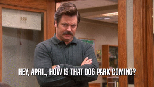 HEY, APRIL, HOW IS THAT DOG PARK COMING?  