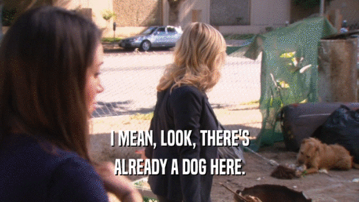 I MEAN, LOOK, THERE'S ALREADY A DOG HERE. 