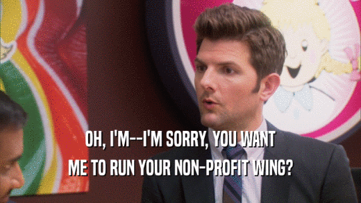 OH, I'M--I'M SORRY, YOU WANT ME TO RUN YOUR NON-PROFIT WING? 