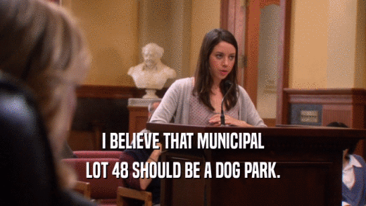 I BELIEVE THAT MUNICIPAL LOT 48 SHOULD BE A DOG PARK. 