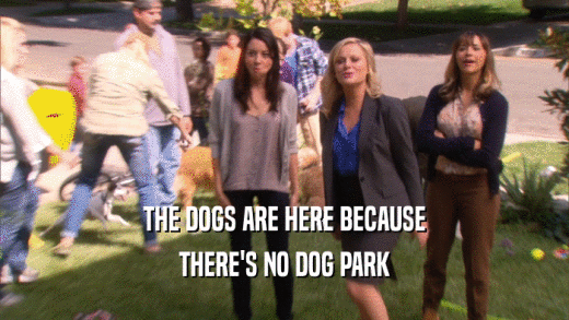 THE DOGS ARE HERE BECAUSE
 THERE'S NO DOG PARK
 